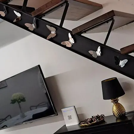 Clementinam Colosseum Roma