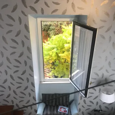 Clementinam Colosseum